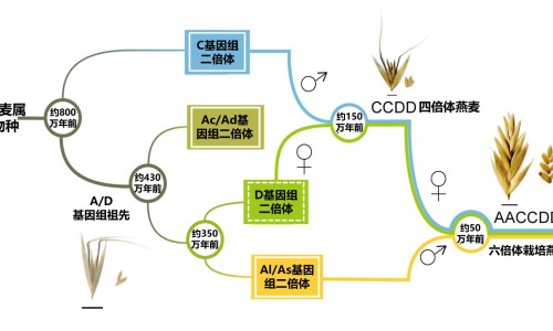 黄豆核桃仁红枣豆浆的功效-黄豆核桃红枣枸杞豆浆的功效与作用、黄豆枸杞核桃仁红枣的功效和作用 -黄豆枸杞核桃仁红枣的功效网