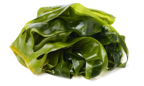 黄豆核桃仁红枣豆浆的功效-黄豆核桃红枣枸杞豆浆的功效与作用、黄豆枸杞核桃仁红枣的功效和作用 -黄豆枸杞核桃仁红枣的功效网