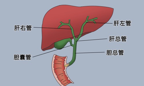 黄豆核桃红枣不能乱喝-黄豆核桃红枣枸杞豆浆的功效与作用、黄豆枸杞核桃仁红枣的功效和作用 -黄豆枸杞核桃仁红枣的功效网